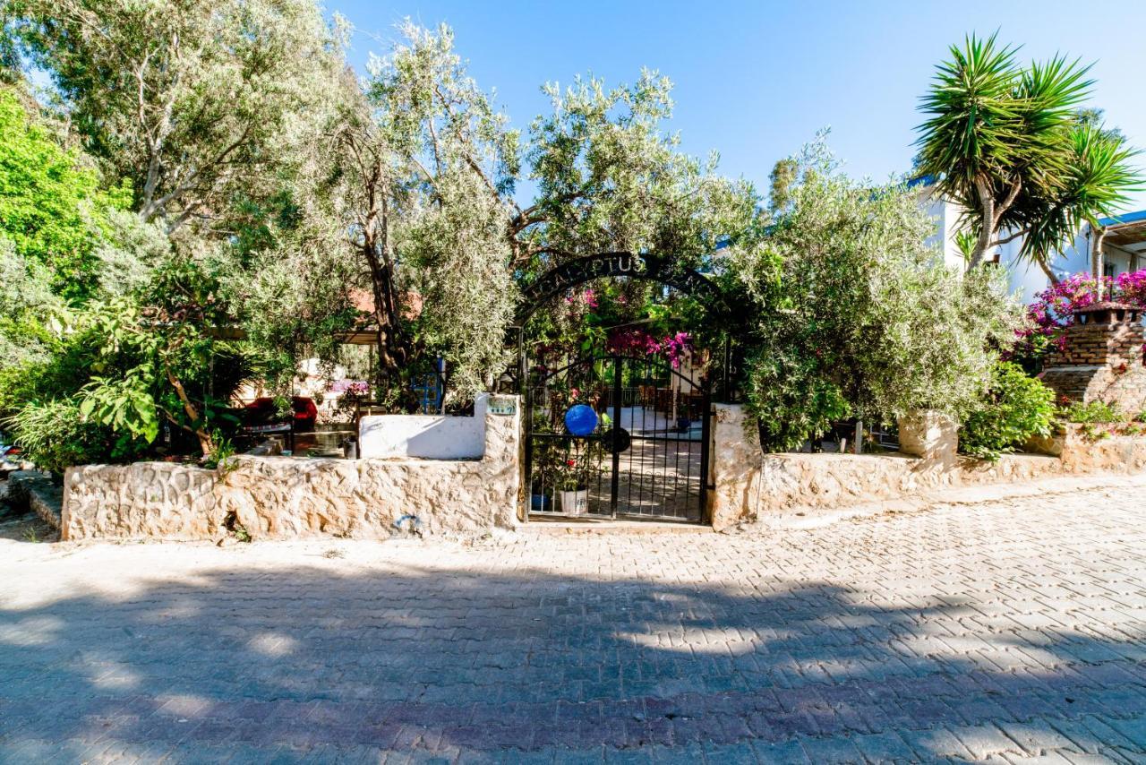 Eucalyptus Pension Patara Buitenkant foto