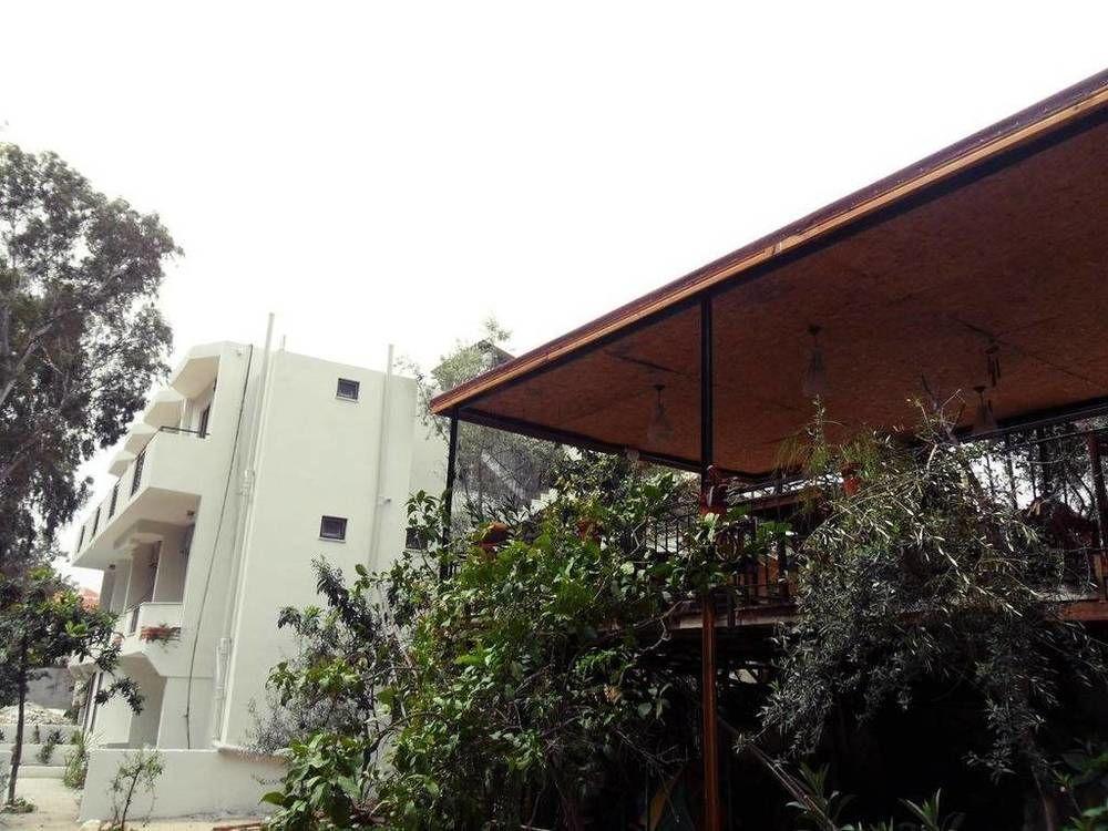 Eucalyptus Pension Patara Buitenkant foto