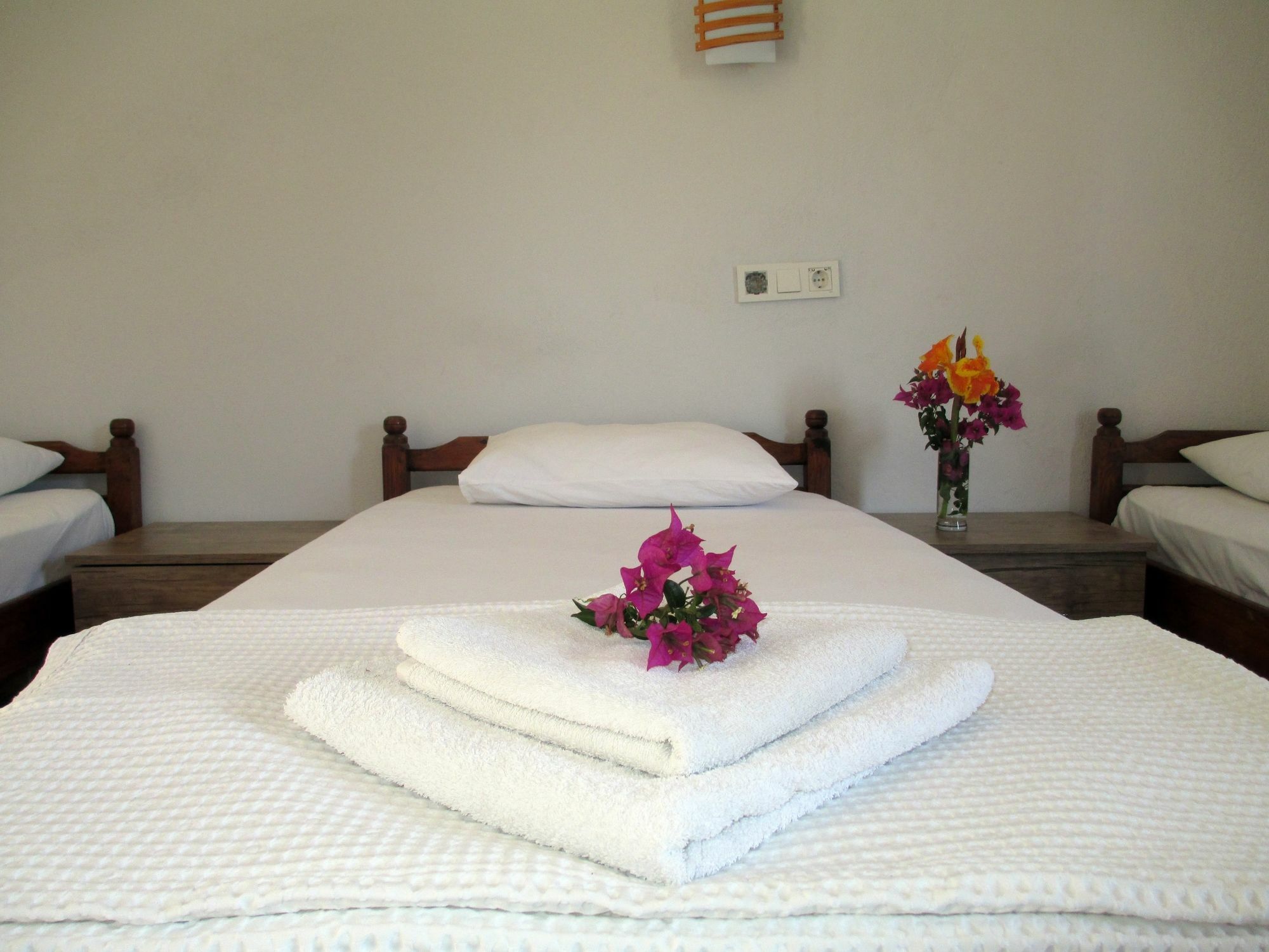 Eucalyptus Pension Patara Buitenkant foto